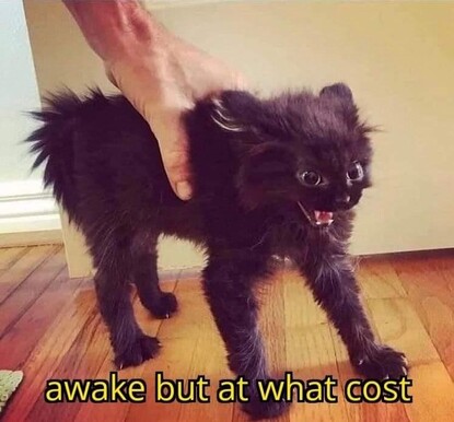 Image attached toot