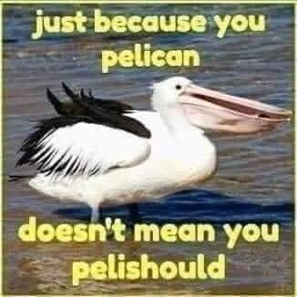 Image attached toot